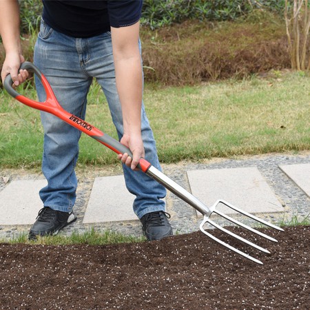 border-fork border-fork