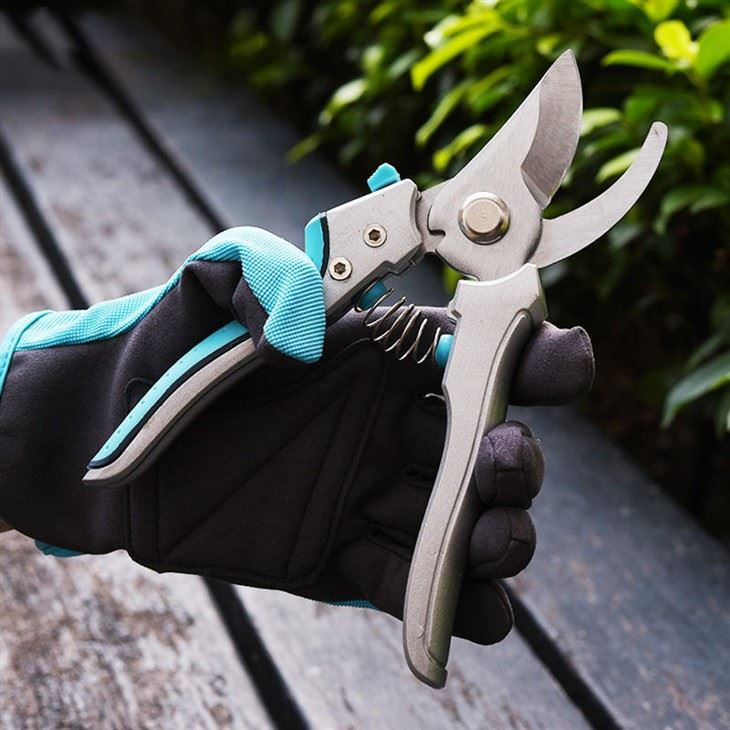Bypass Pruning Shears