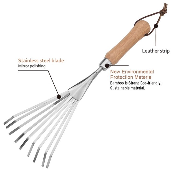 Hand Fan Rake