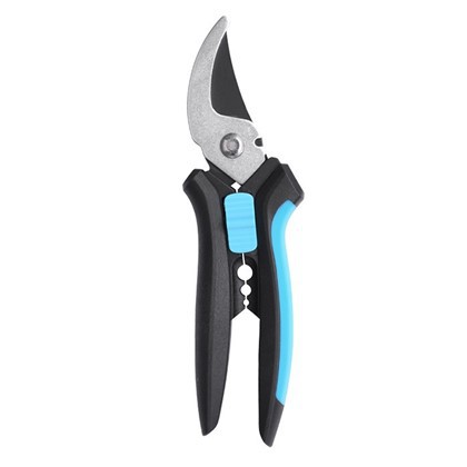 Pruners seachbhóthar láimhe