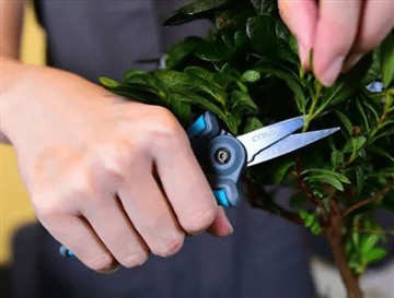 Cén fáth ar sheol muid an siosúr nua agus níos mó