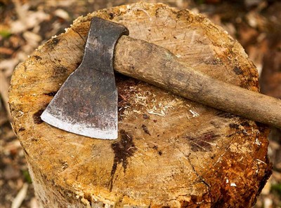 Uirlisí Gearrtha Crann agus Fearas Sábháilteachta