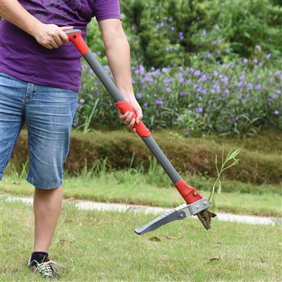 Seas suas Weeder le haghaidh fiailí gan dua