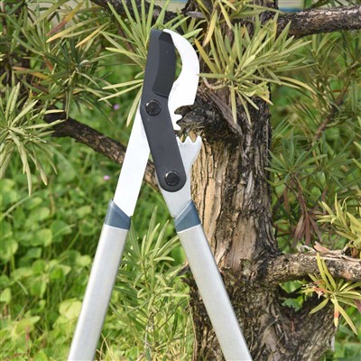 Is Barraí Seachbhóthar iad na Brainsí Bearradh Uirlis is Fearr