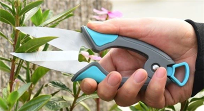 Secateurs Agus Pruners