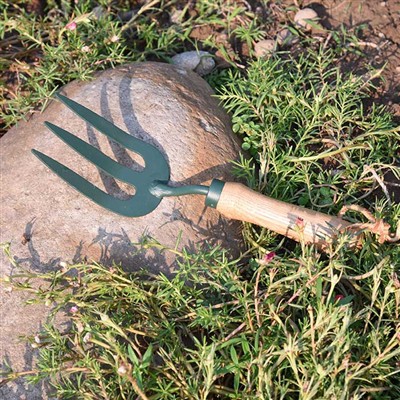 Eachtraí Laethúla The Garden Tools