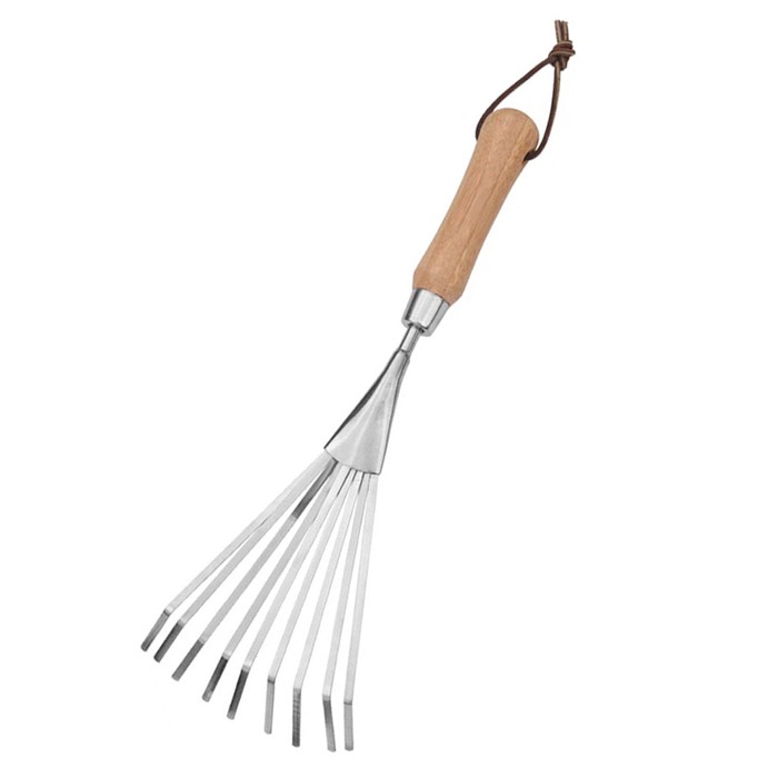 Raca lucht leanúna láimhe