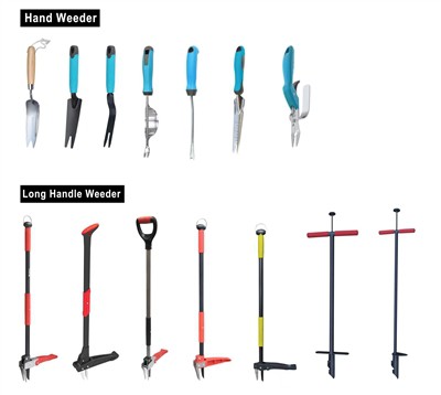 Ag Saothrú Glas: Ag glacadh le hinbhuanaitheacht i do Ghairdín