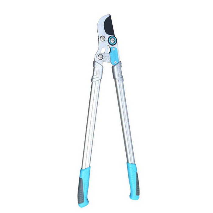 Lopping deimhis bearrtha