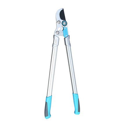 Lopping deimhis bearrtha